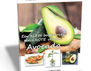 avocado_boek